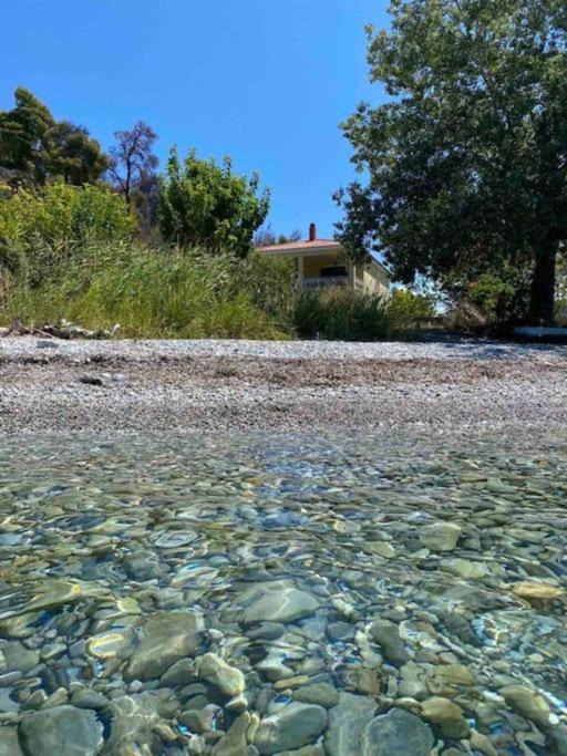 Photo of Others in Aravissos