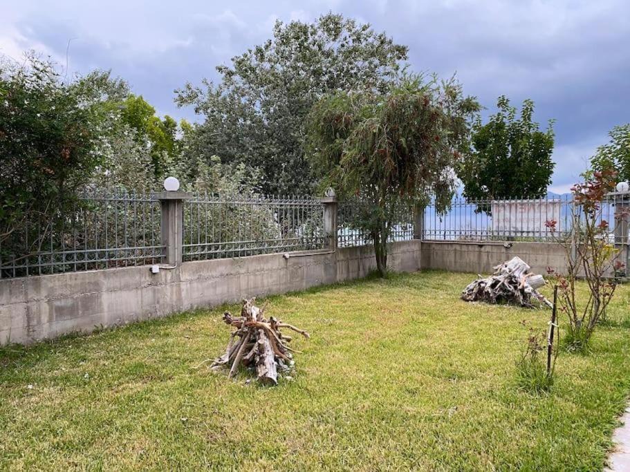 Photo of Others in Aravissos