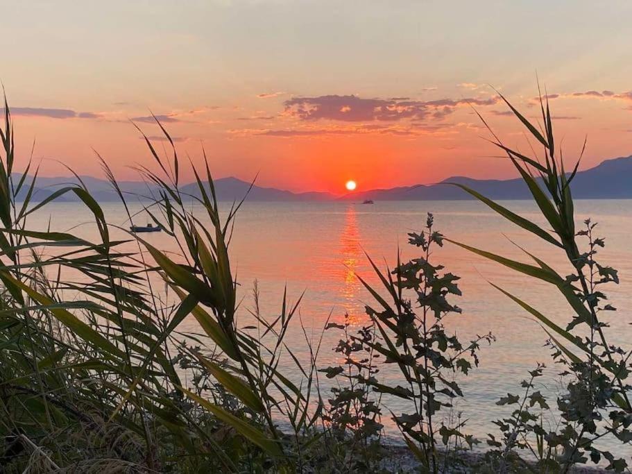 Photo of Outdoor in Aravissos