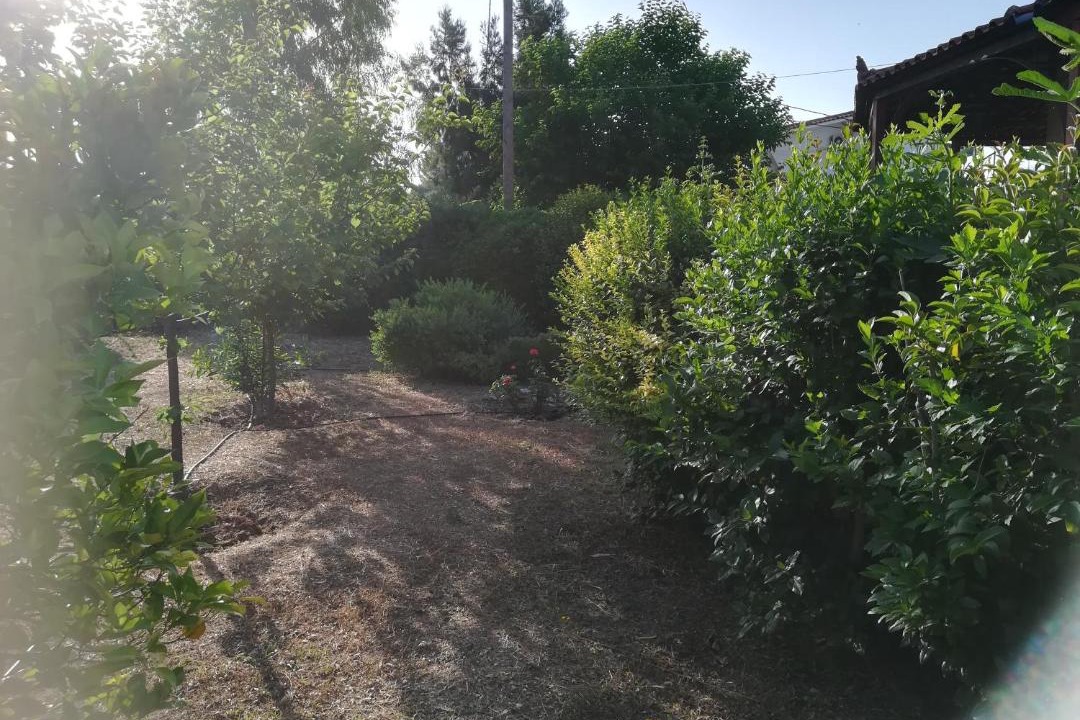 Photo of Outdoor in Eretria