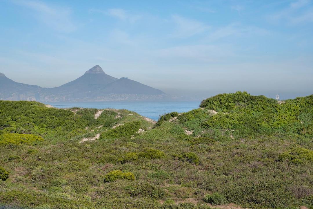 Photo of Outdoor in Sunset Beach