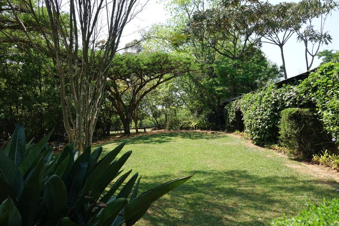 Photo of Outdoor in Ligfontein