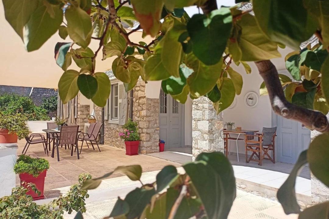 Photo of Others in Hydra