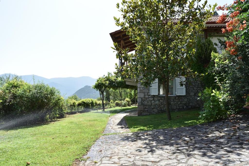 Photo of Others in Lilaia
