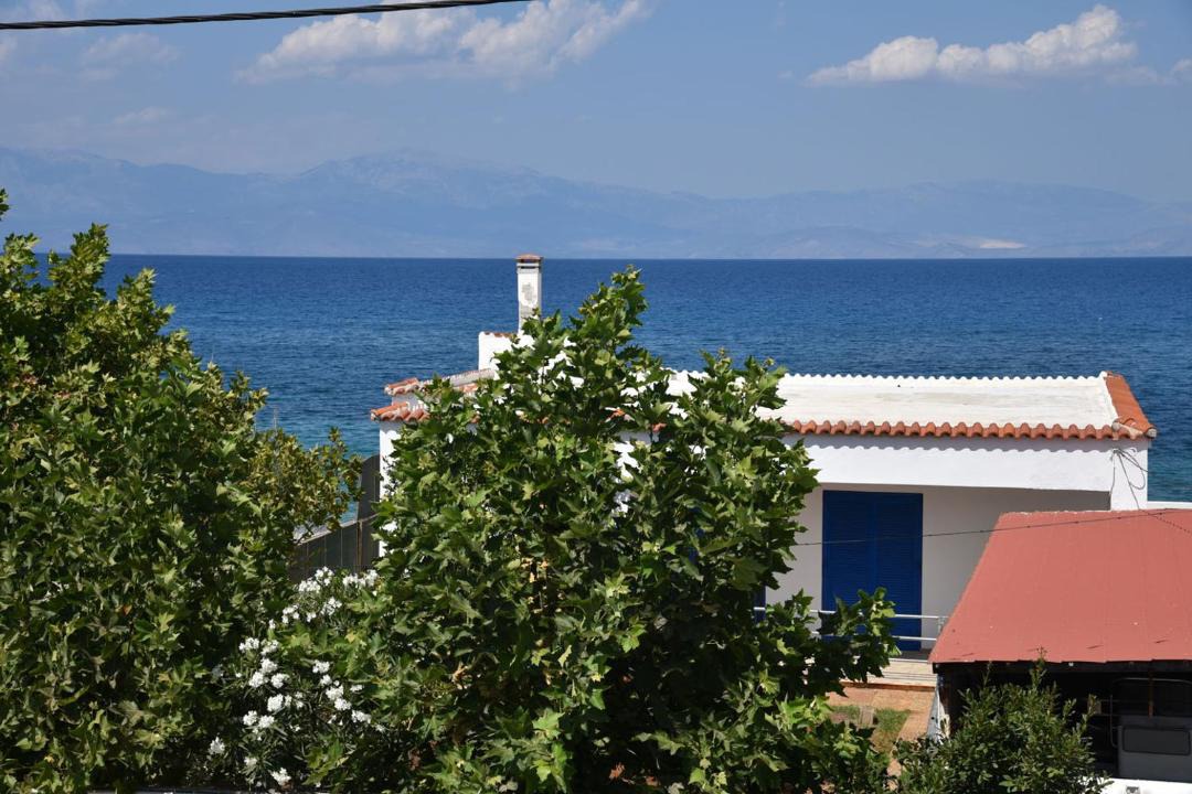 Photo of Others in Kiato