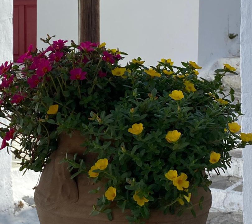 Photo of Others in Mykonos