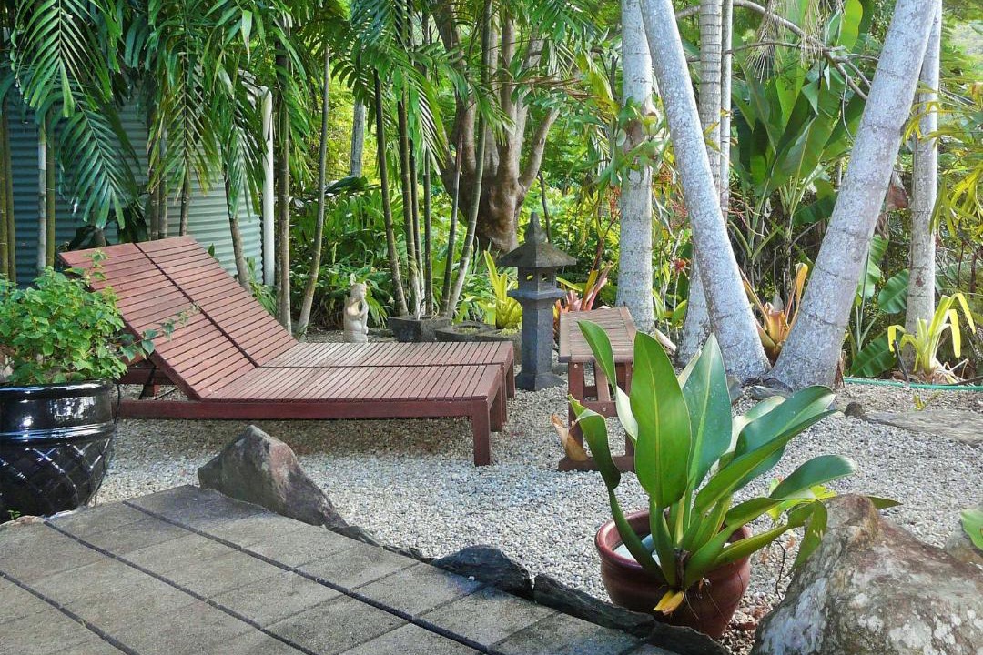 Photo of Others in Cassowary