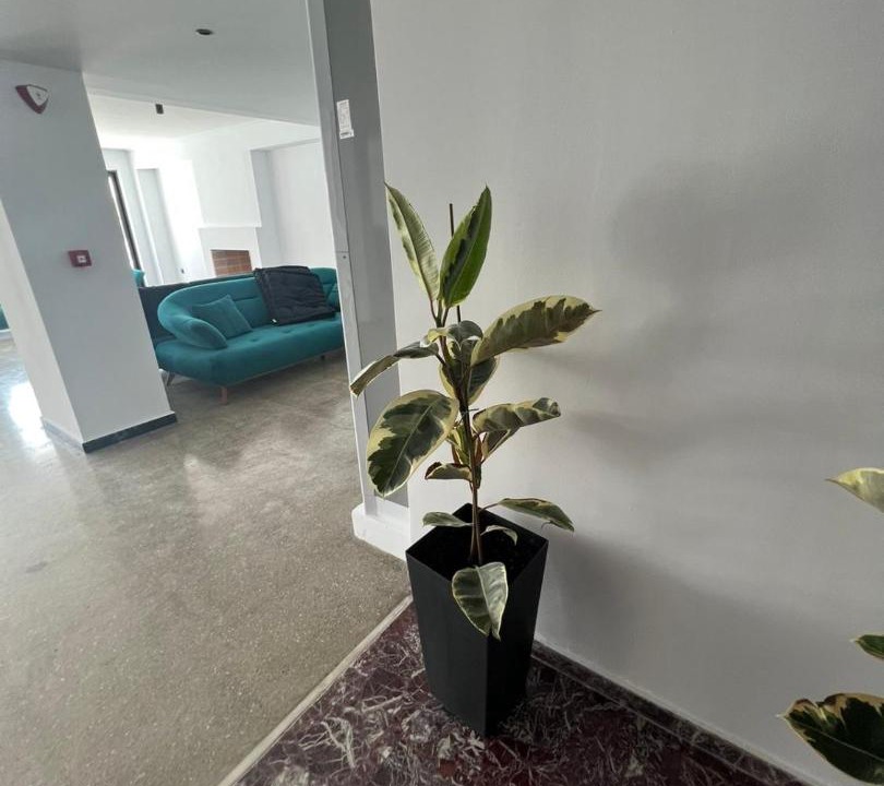 Photo of Livingroom in Xylokastron