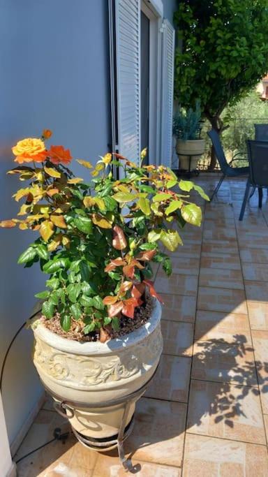 Photo of Patio Balcony in Chalcis