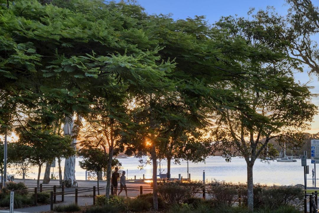 Photo of Others in Noosaville