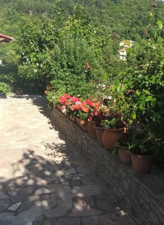 Photo of Outdoor in Karpenisi