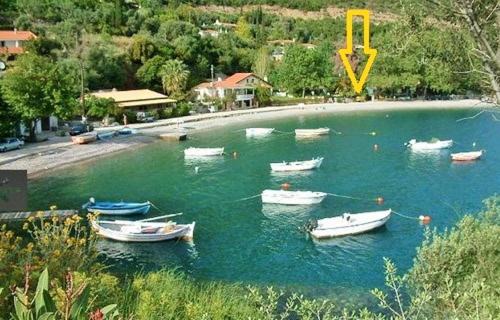 Photo of Others in Skaloma
