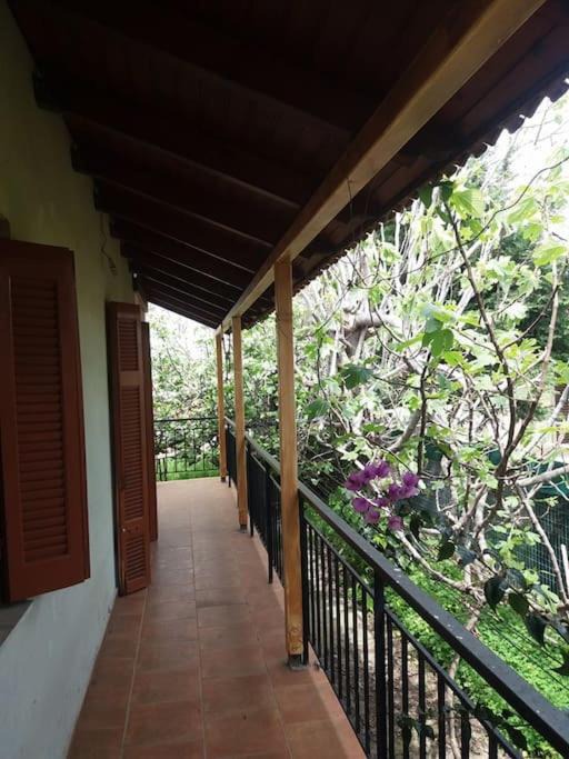 Photo of Patio Balcony in Agii Apostoli