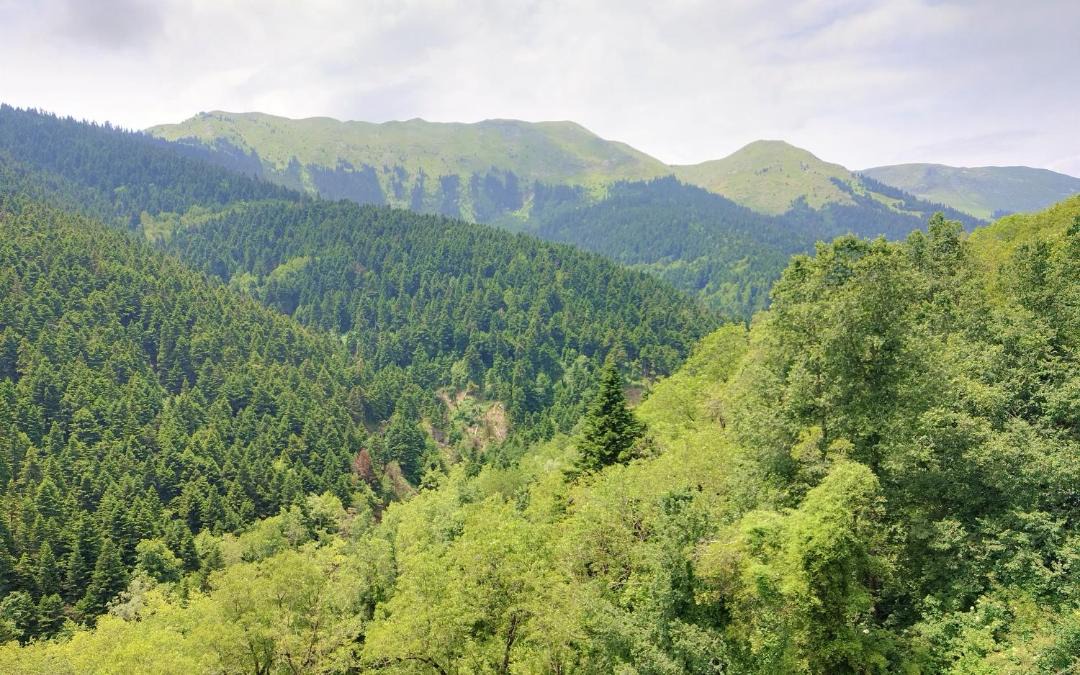 Photo of Outdoor in Lake Plastiras
