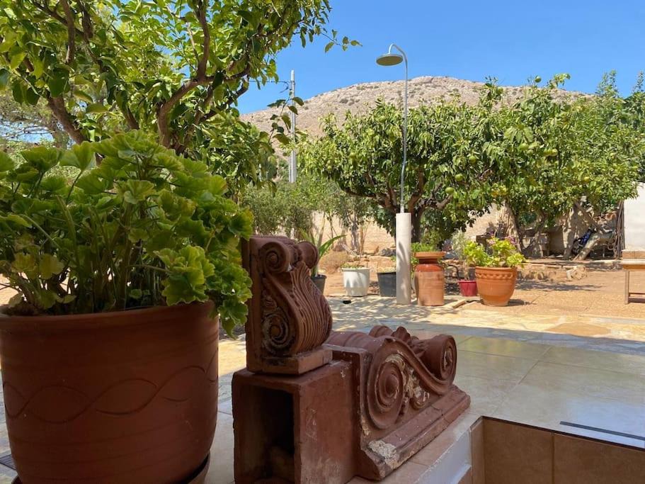 Photo of Patio Balcony in Thymari
