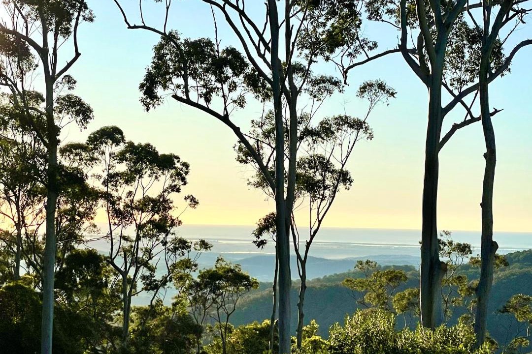 Photo of Others in Mount Tamborine