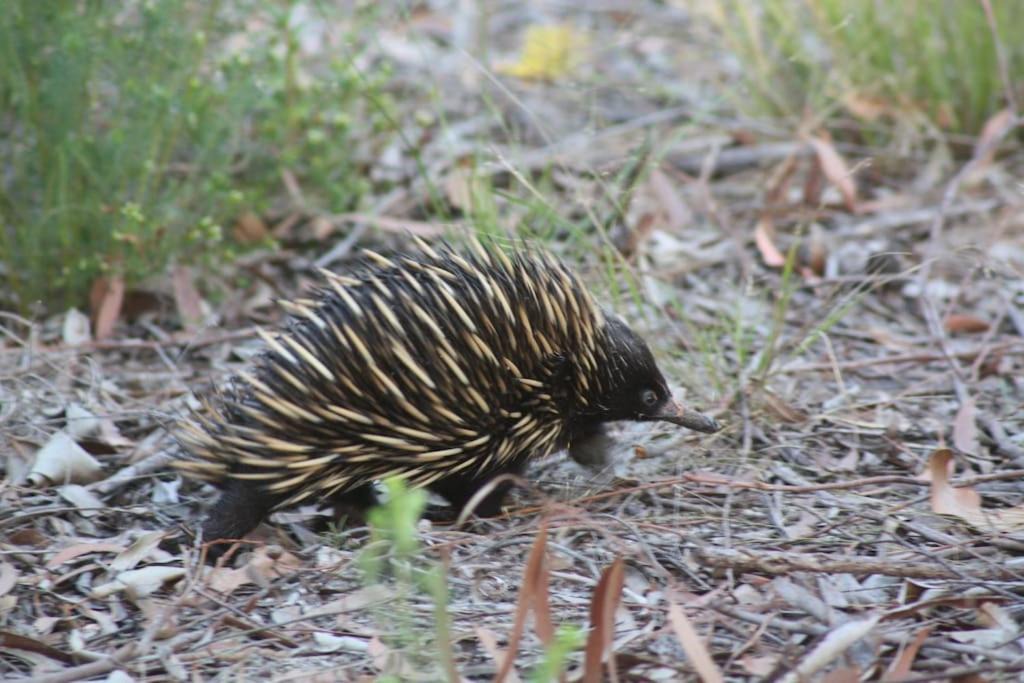 Photo of Others in Kingfisher Bay