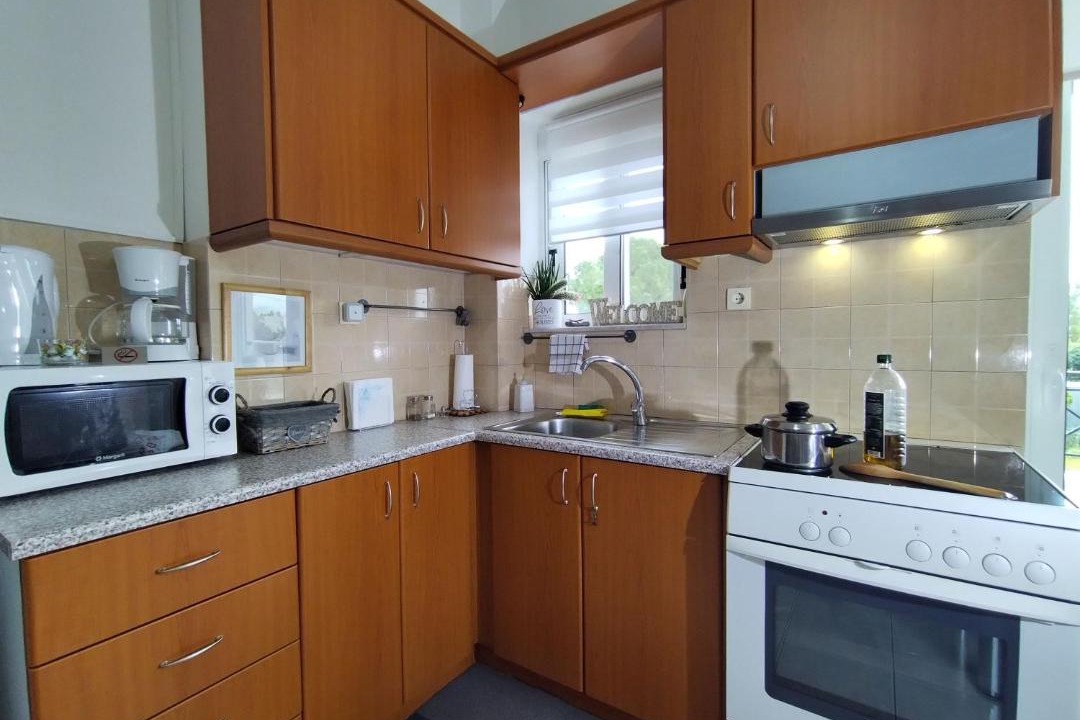 Photo of Kitchen in Nea Artaki