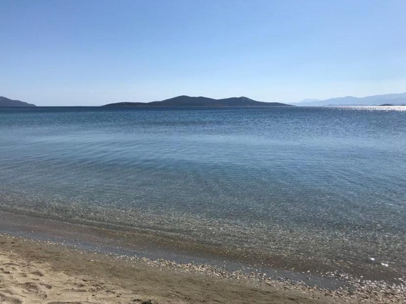 Photo of Outdoor in Karystos