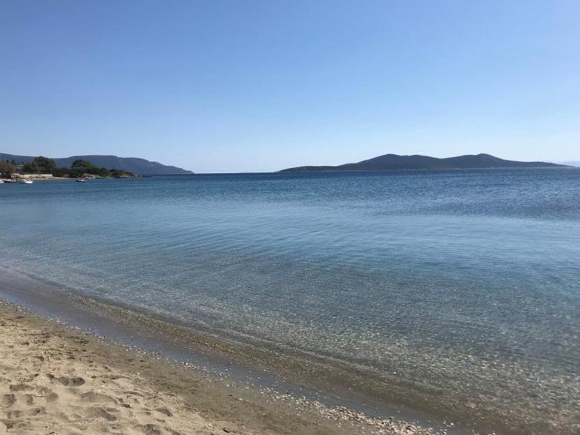 Photo of Outdoor in Karystos