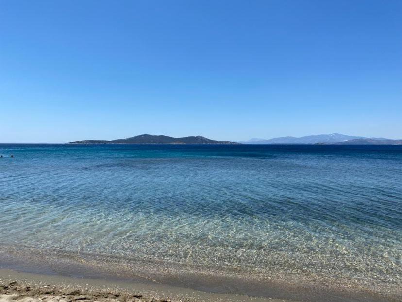 Photo of Outdoor in Karystos