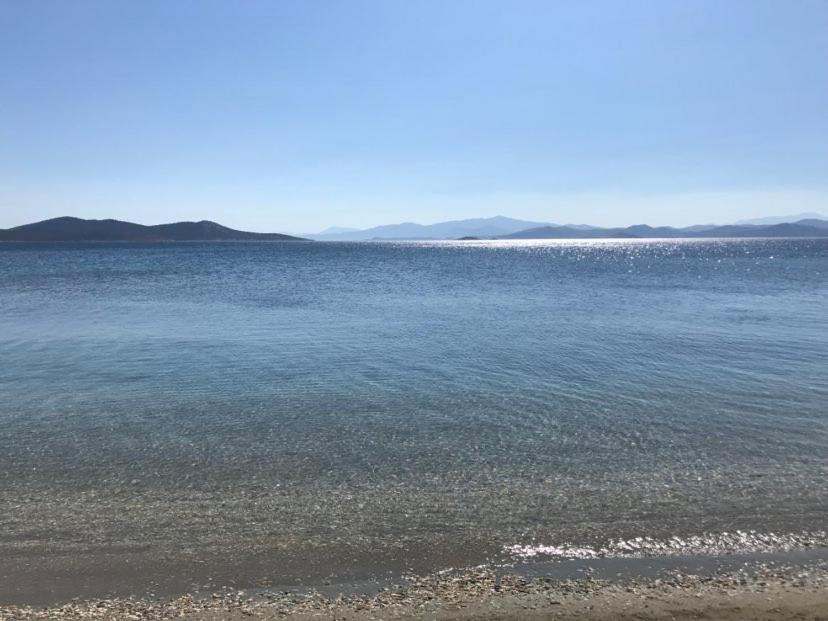 Photo of Outdoor in Karystos