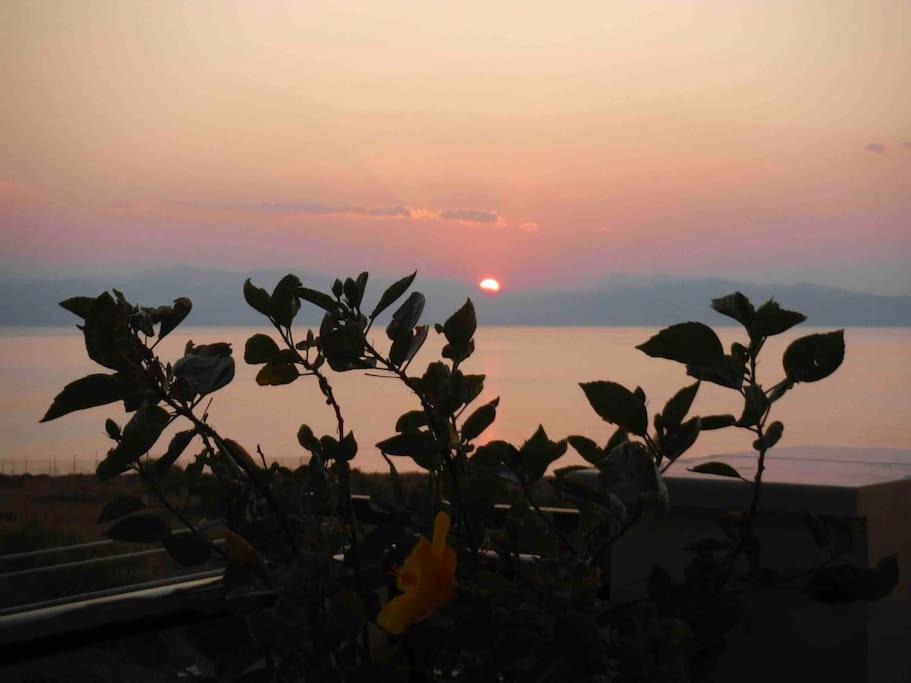 Photo of Others in Milos