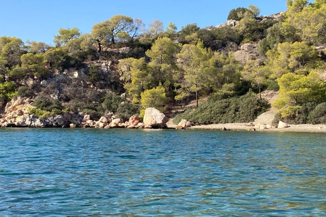 Photo of Others in Salamis