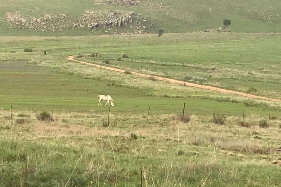 Photo of Others in Dullstroom