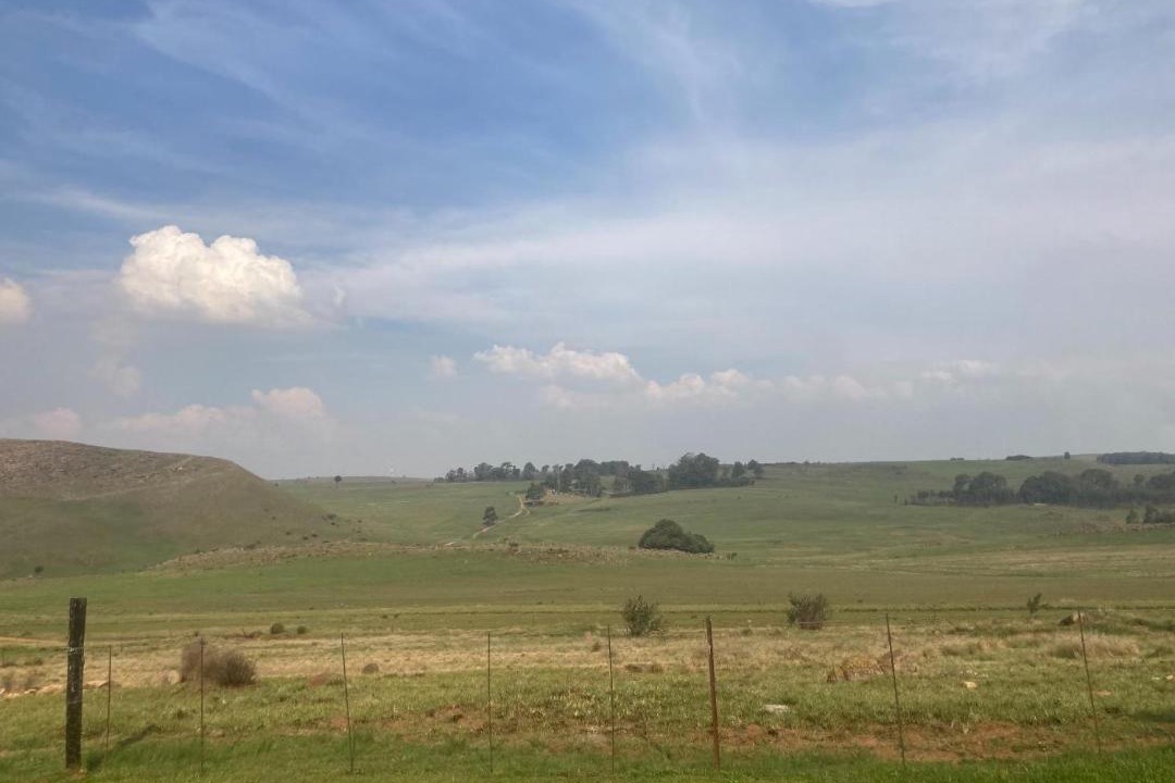 Photo of Others in Dullstroom