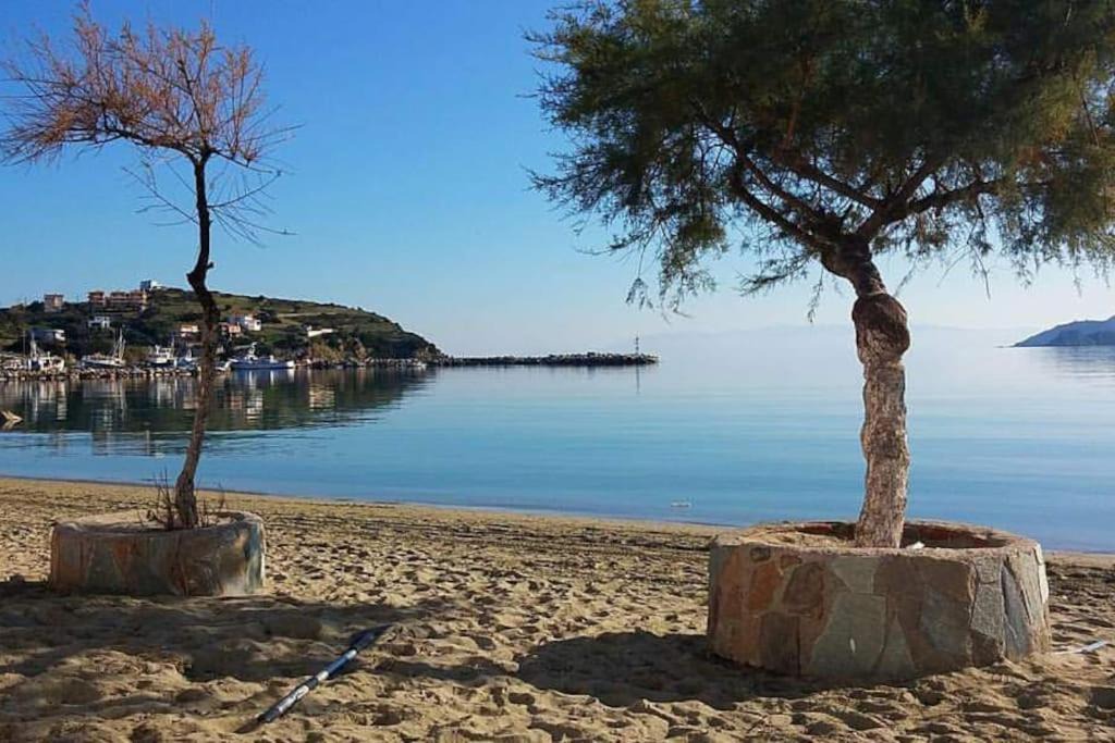Photo of Outdoor in Petries