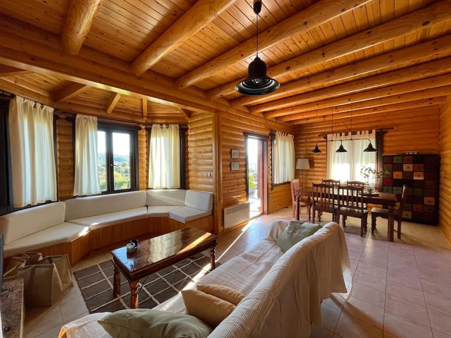 Photo of Livingroom in Zitsa