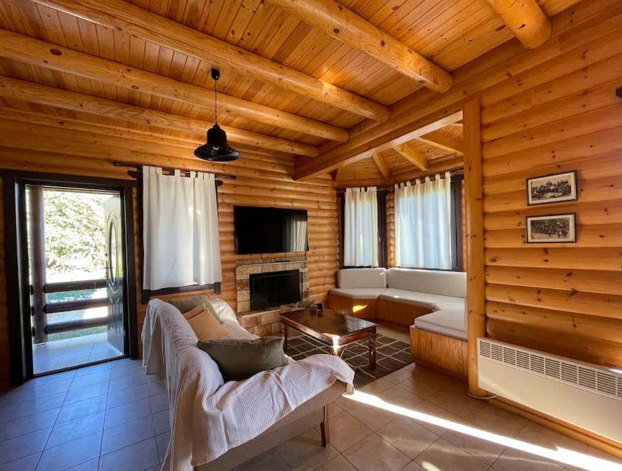 Photo of Livingroom in Zitsa