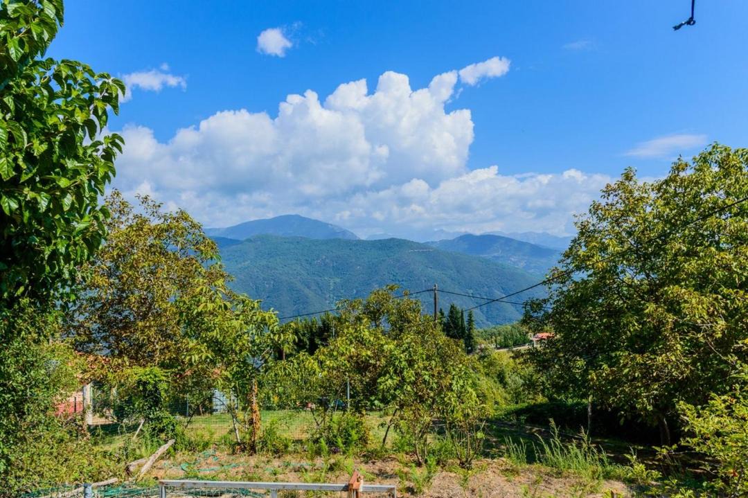 Photo of Outdoor in Terpsithea