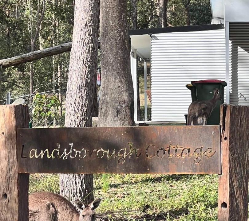 Photo of Buildings in Landsborough