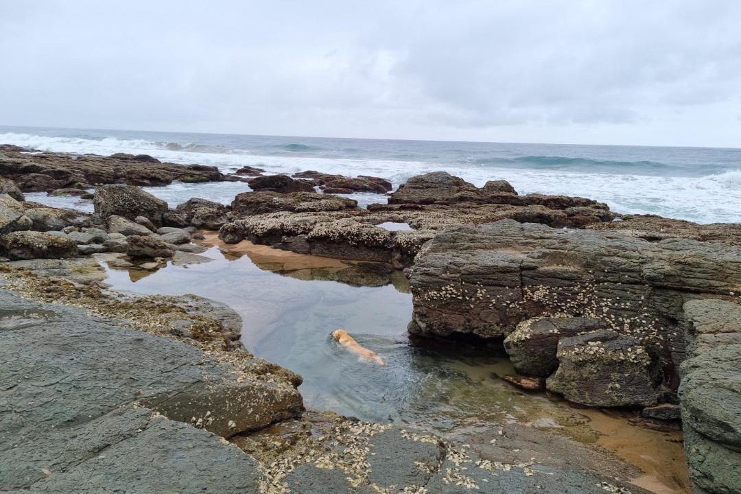 Photo of Outdoor in Ezembeni