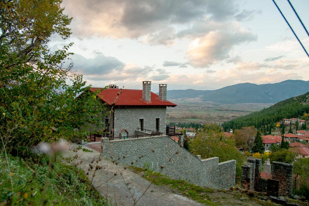 Photo of Others in Polidrosos