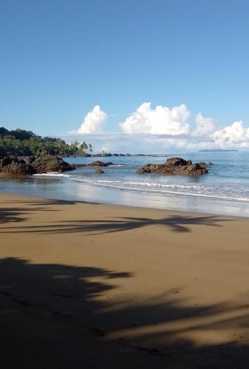 Photo of Others in Drake Bay