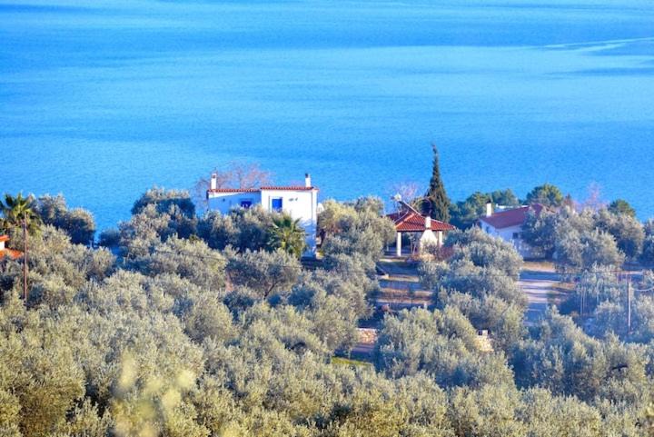 Photo of Buildings in Imathia Region