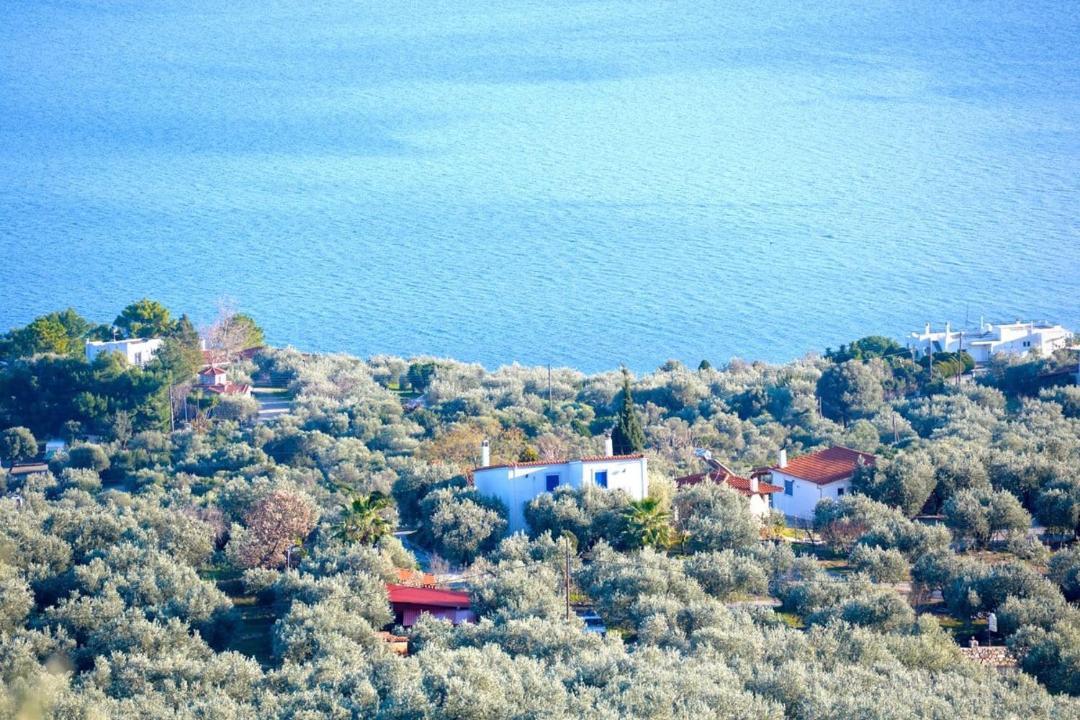 Photo of Others in Imathia Region