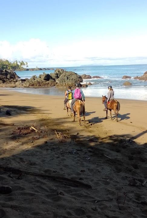 Photo of Others in Drake Bay