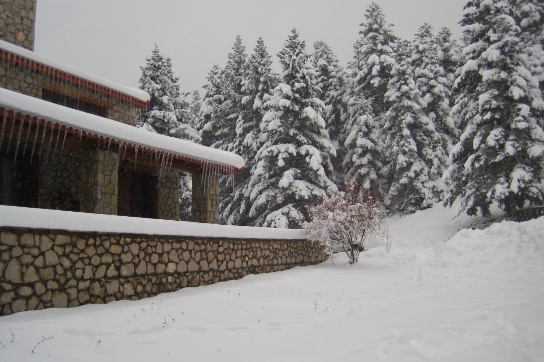 Photo of Buildings in Kato Pedina