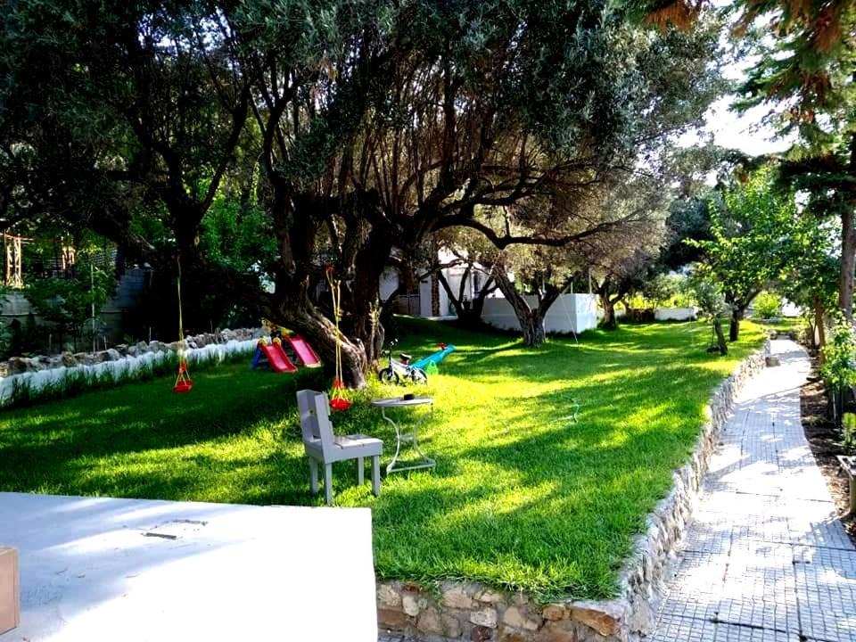 Photo of Others in Skyros Town