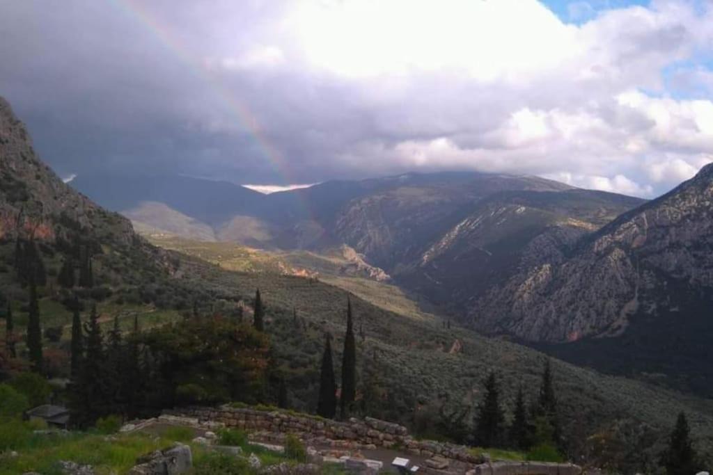 Photo of Outdoor in Delfoi