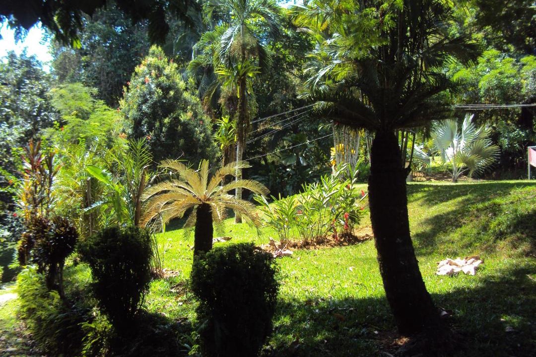 Photo of Others in Quebrada La Gamba