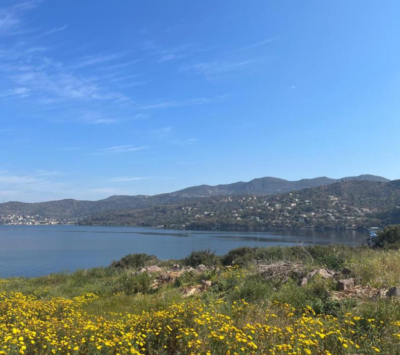 Photo of Outdoor in Perdhika