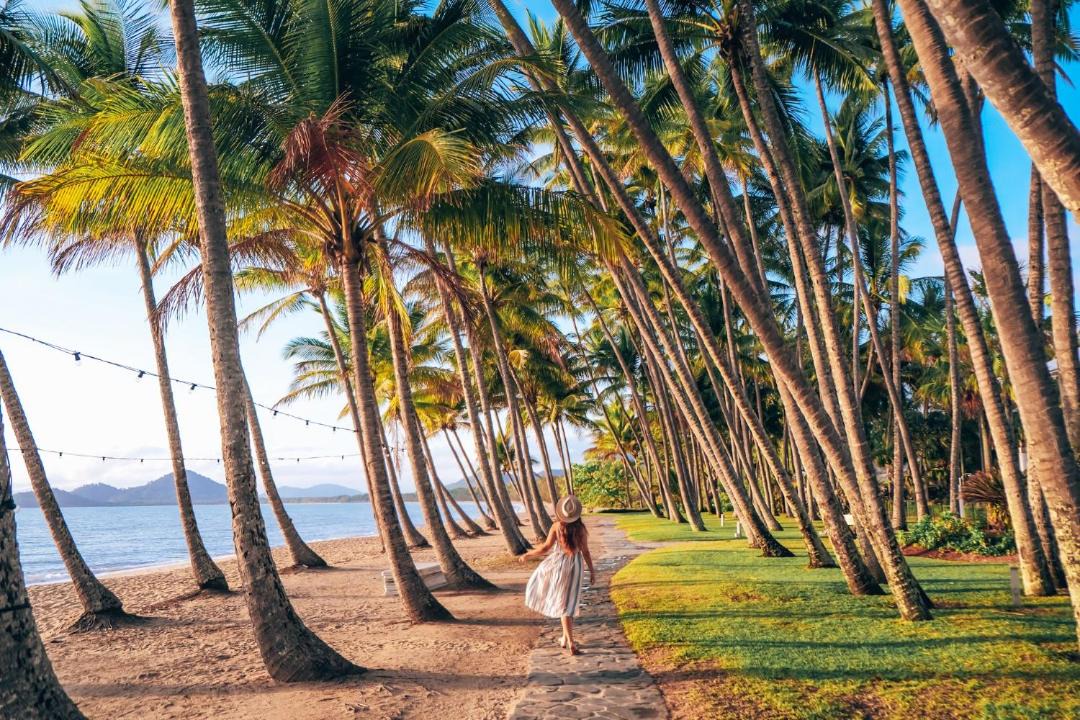Photo of Others in Palm Cove
