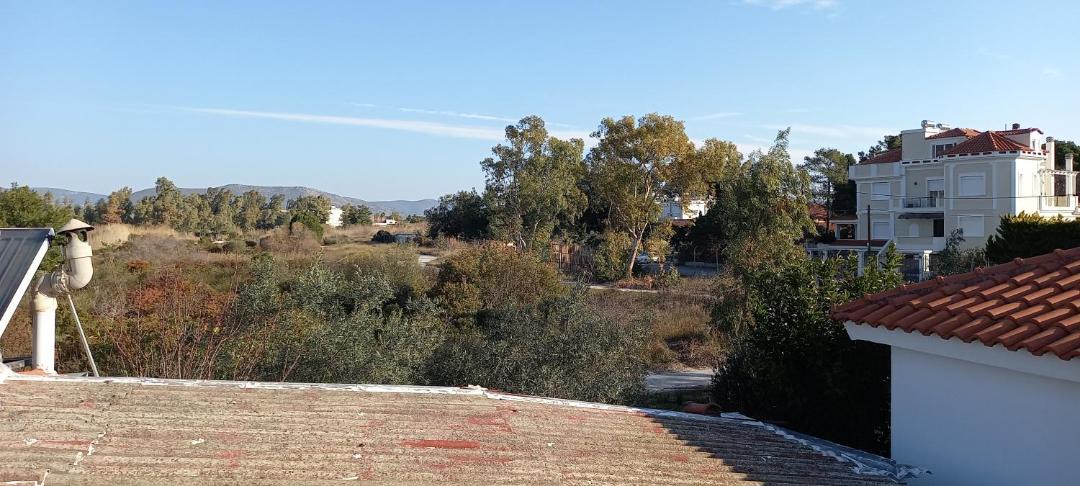 Photo of Others in Nea Makri