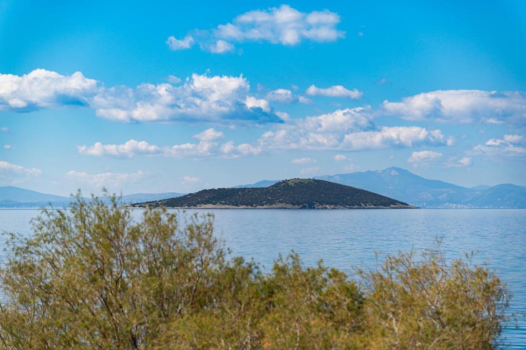 Photo of Outdoor in Marmari