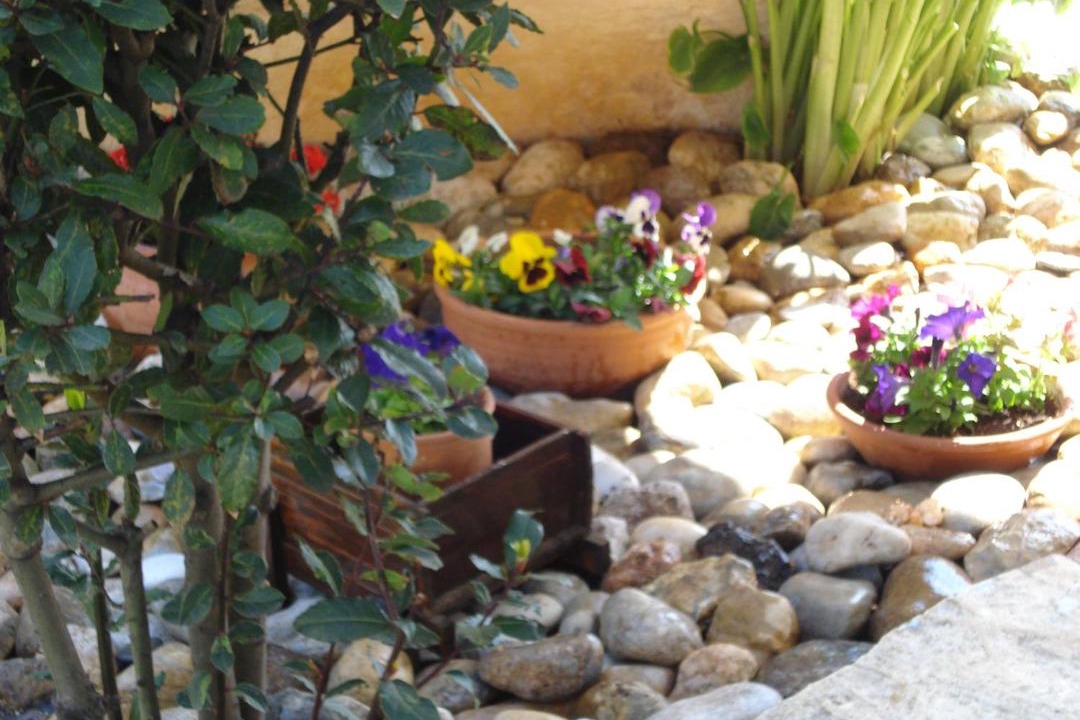 Photo of Others in Spata-Artemida
